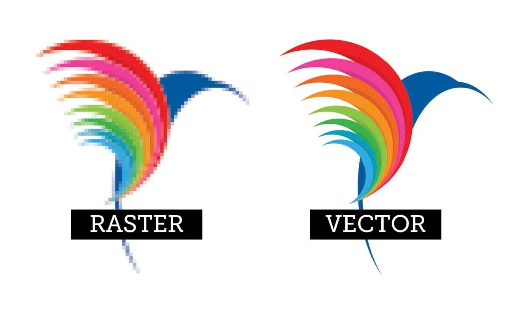 difference between vector and raster graphics